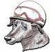 Brian Thomas's Avatar